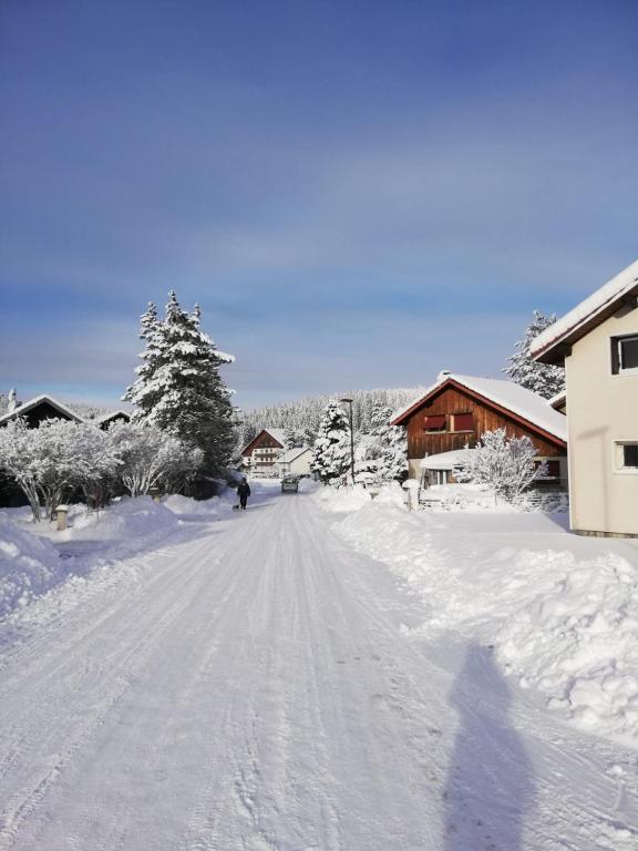 a road covered in snow with houses and trees at Le Chalet des Pas Sages in Longevilles-Mont-dʼOr