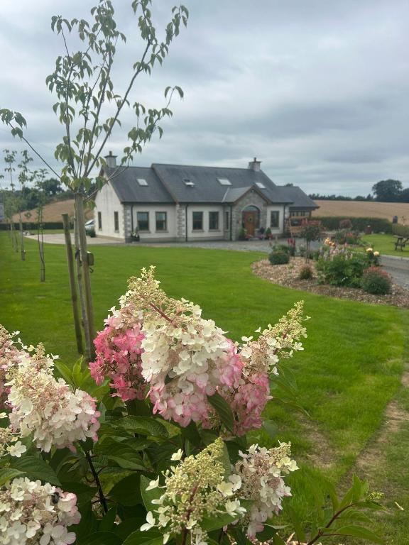 a house with pink and white flowers in a yard at Edenmore Cottage Bed & Breakfast in Moorefield