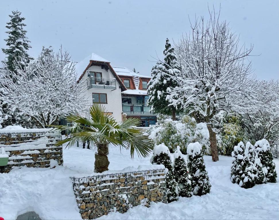 Pension Höchemer - Housity