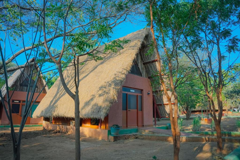 Paradise Lodge Turmi