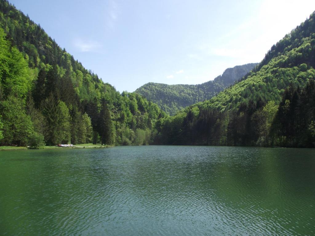 Příroda nedaleko apartmánu