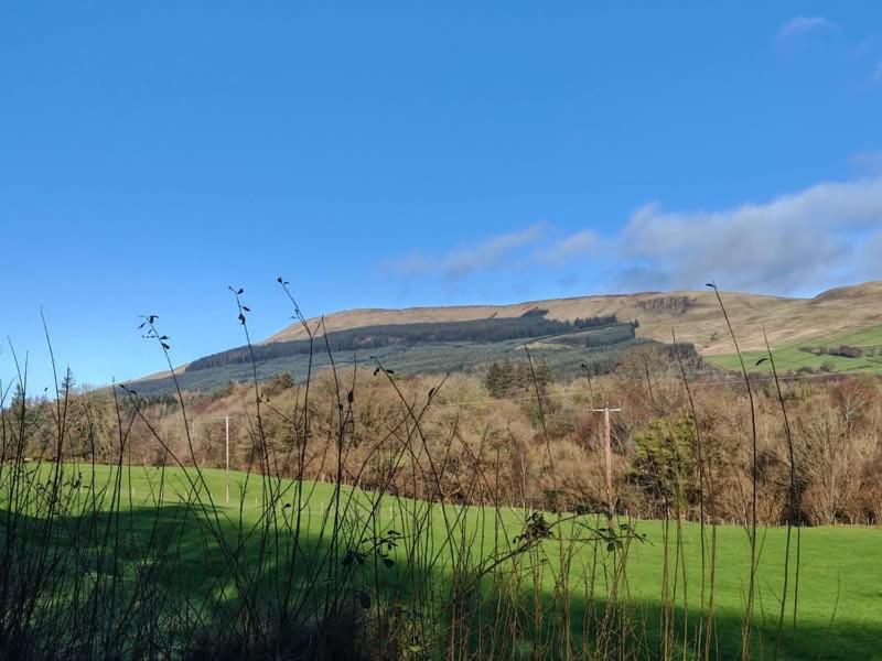 a green field with a hill in the background at Half Pint Cottage in Draperstown
