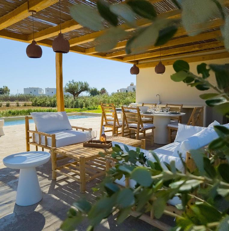 Nour Modern High Ceiling Retreat With Pool In Plaka Naxos Photo Inspiration