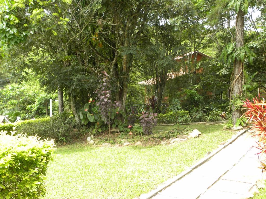  Bosque das Vieiras