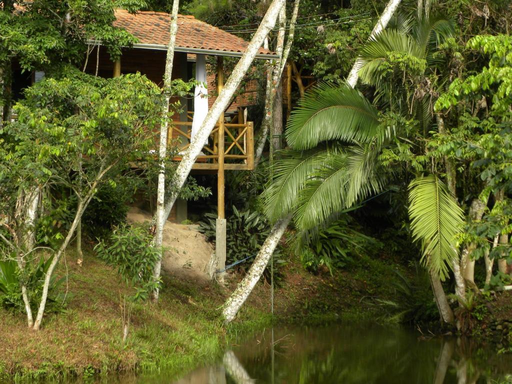  Bosque das Vieiras