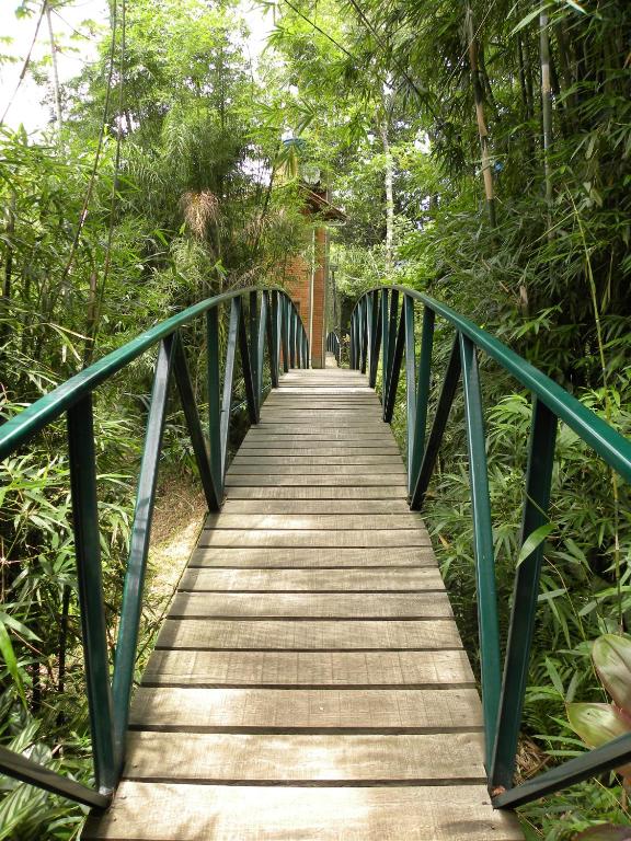  Bosque das Vieiras