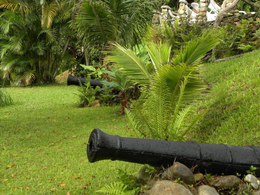  Bosque das Vieiras