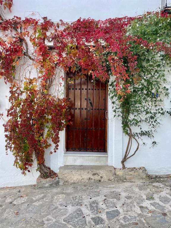 a building with a door with red flowers on it at CUEVAS del PEÑÓN in Grazalema