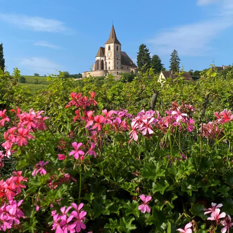 Gîtes Sipp Mack Vins d'Alsace – photo 1