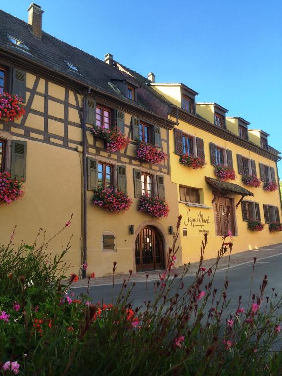 Gîtes Sipp Mack Vins d'Alsace – photo 7