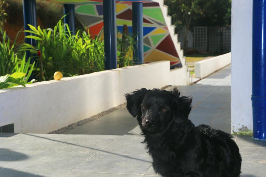  Cristama Residence Inn