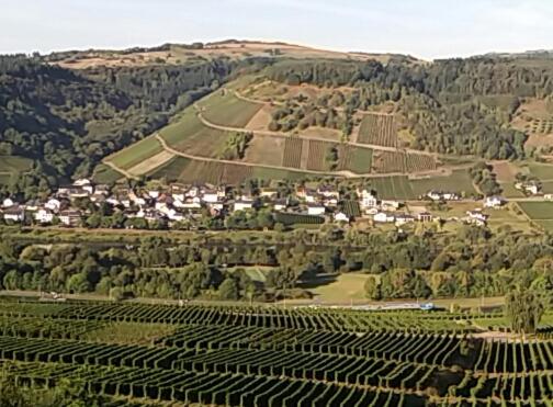 Afbeelding uit fotogalerij van Gästehaus-Weingut Michael Scholer in Schleich