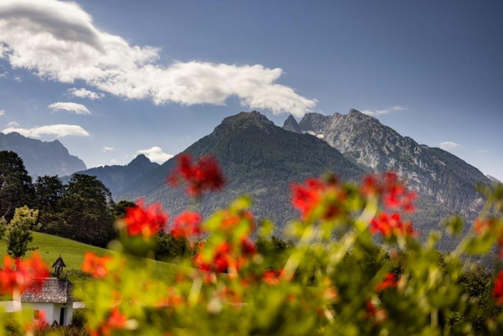 Gästehaus Heißenlehen - Chambre Double Avec Vue Sur Montagne