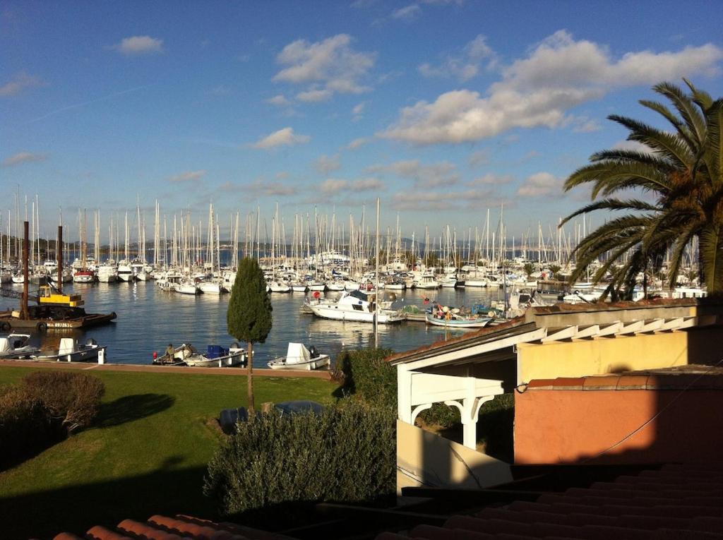 Charmant T3 avec grande terrasse vue port et mer
