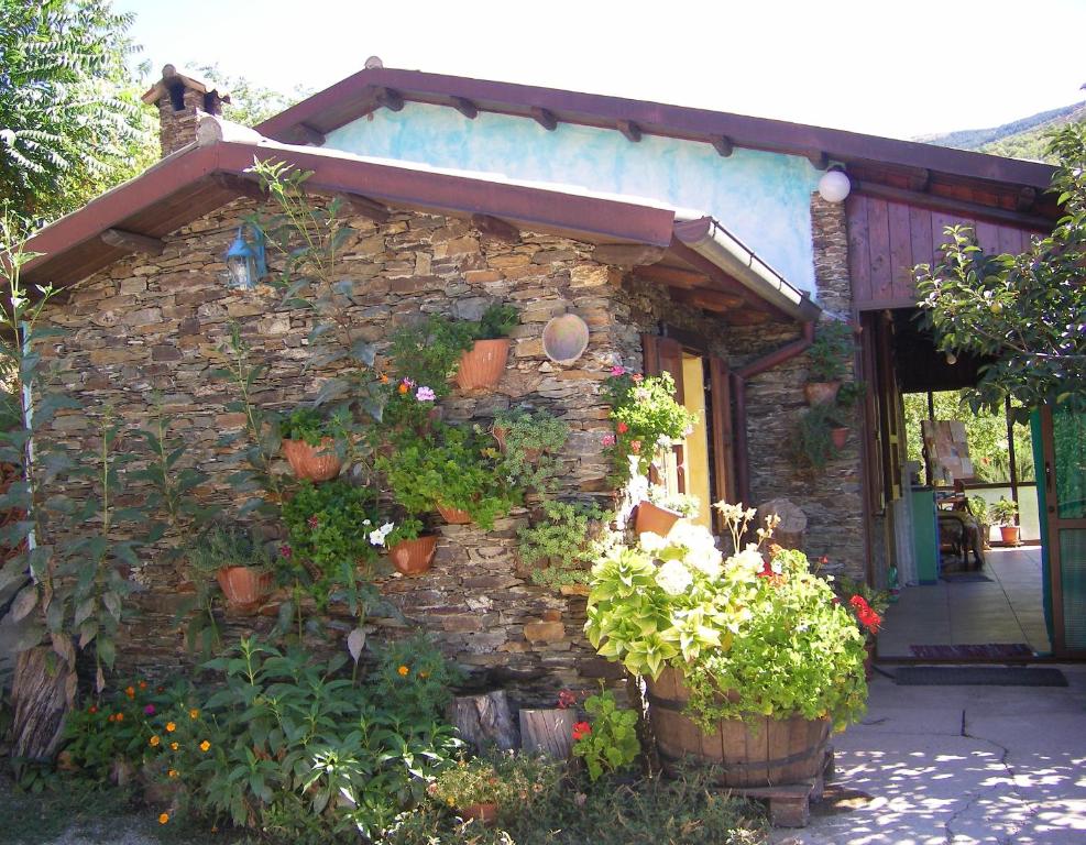 Zahrada ubytování Chalet Su Foxile
