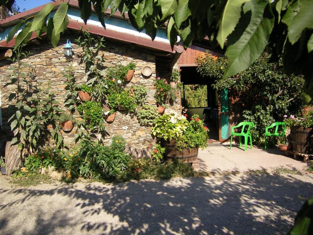 Zahrada ubytování Chalet Su Foxile