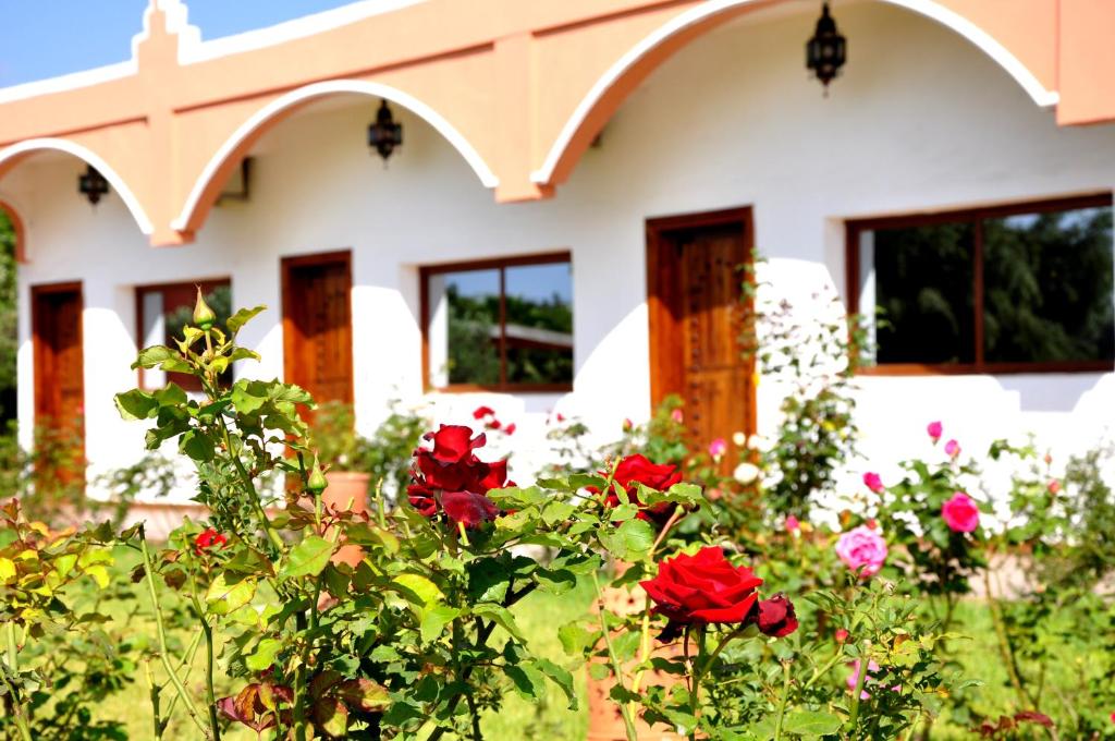 Zahrada ubytování Riad Hamdani