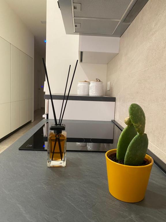 a living room with a yellow pot and a cactus at  