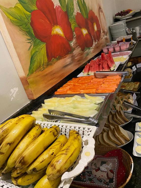 HOTEL PLAZA PONTES e LACERDA