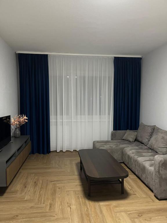 a living room with a couch and a coffee table at Kerulis Apartments in Vilnius