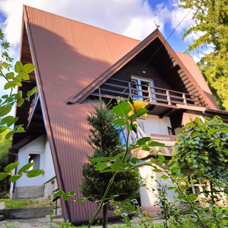 a house with a brown roof at Całoroczny dom nad Jeziorem Rożnowskim in Gródek Nad Dunajcem