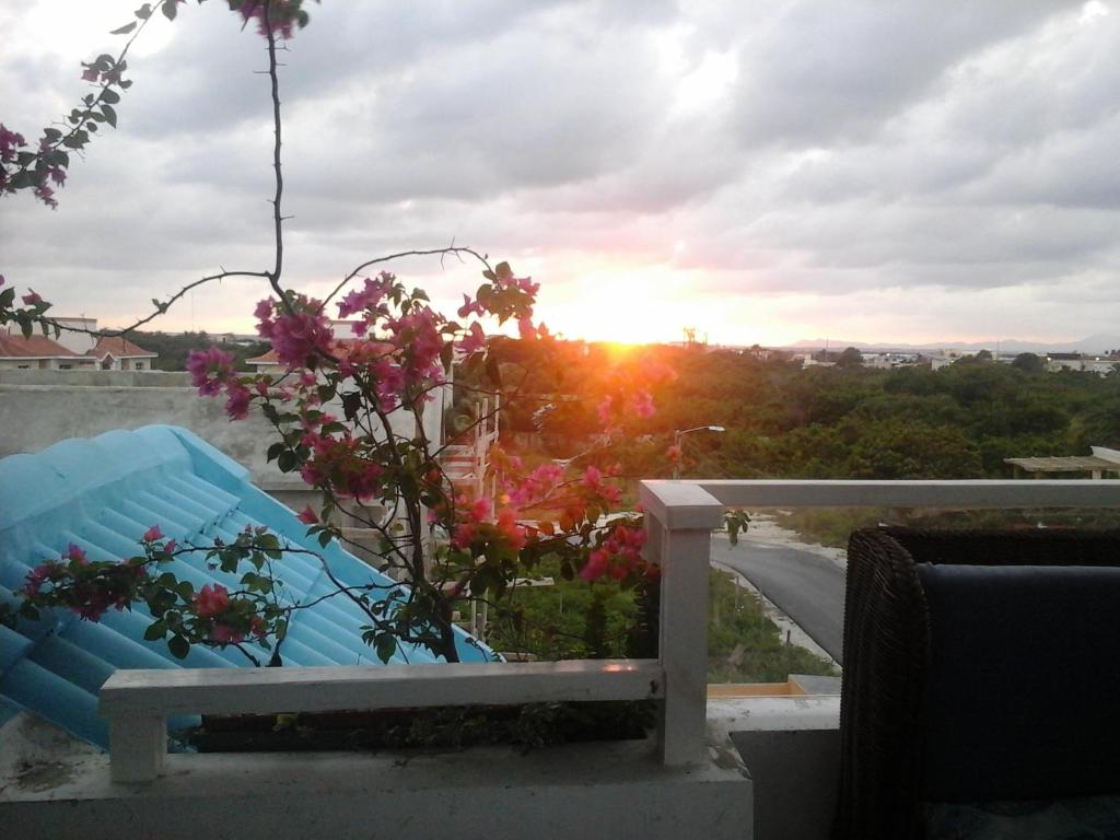 Východ nebo západ slunce při pohledu z bed and breakfast nebo okolí