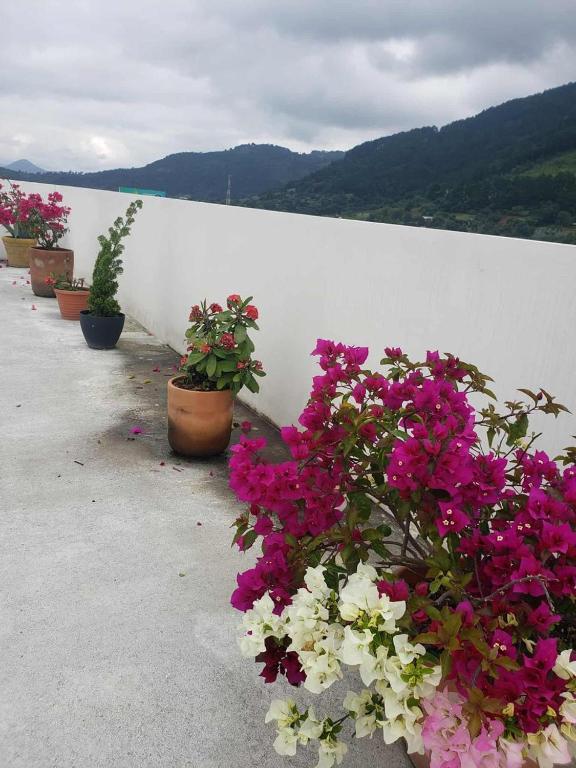 Hotel Mountain View - Tweepersoonskamer Met Uitzicht Op De Bergen