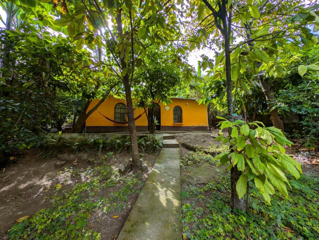 Jardí fora de Casa Cacao