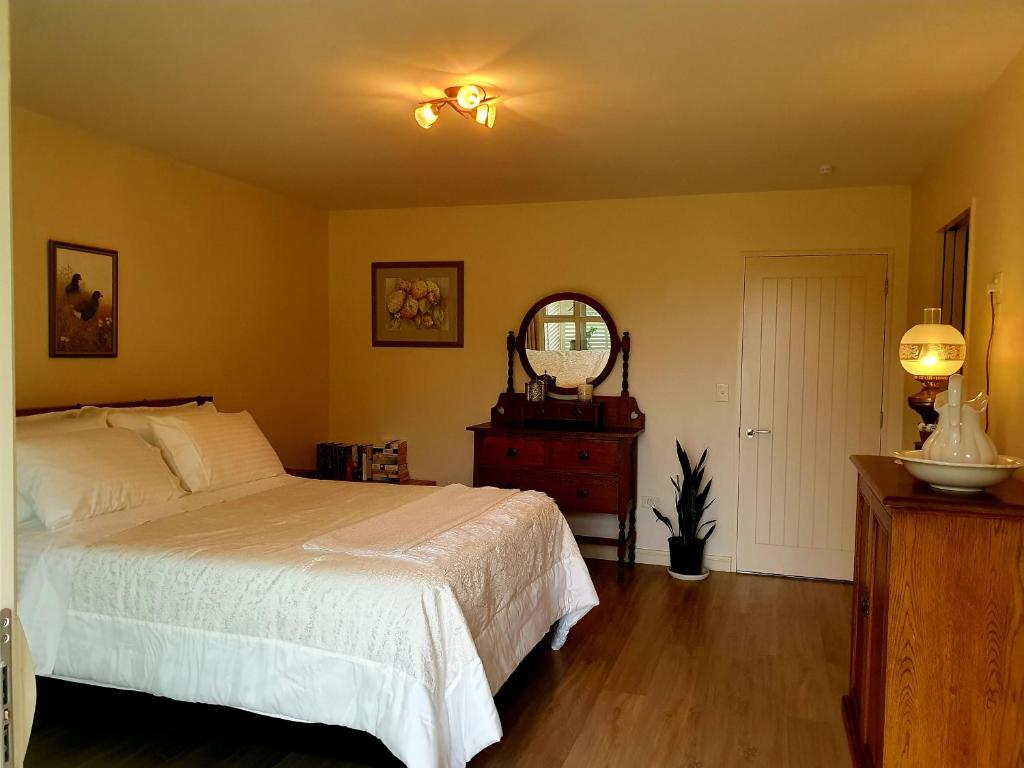 a bedroom with a bed and a mirror and a dresser at Lily Pad Apartment in Motueka
