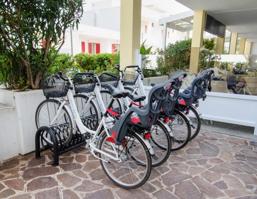 Jízda na kole v ubytování Hotel Luna Lido nebo okolí