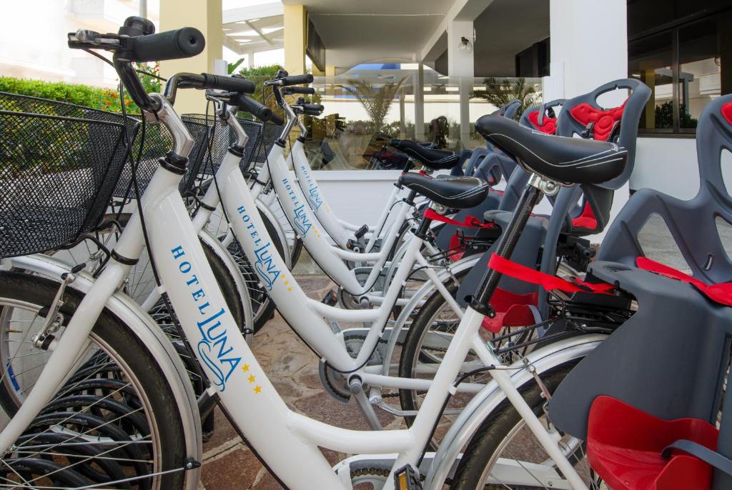 Jízda na kole v ubytování Hotel Luna Lido nebo okolí