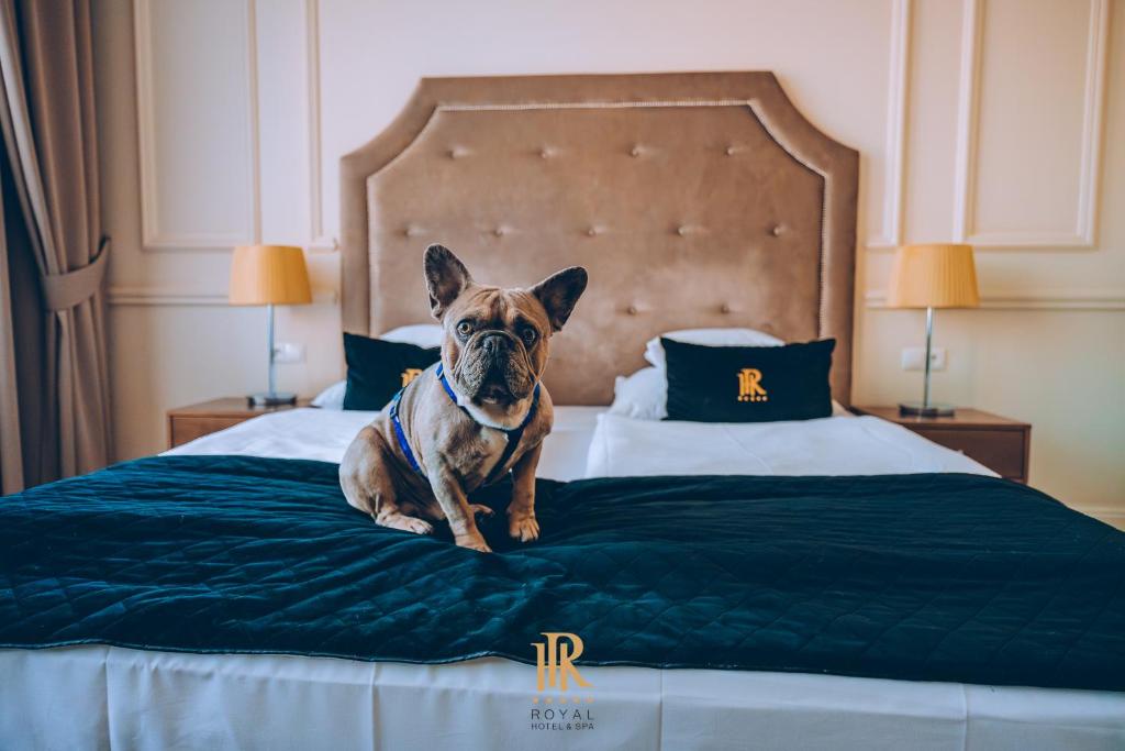 Hotel Royal & Spa - 17