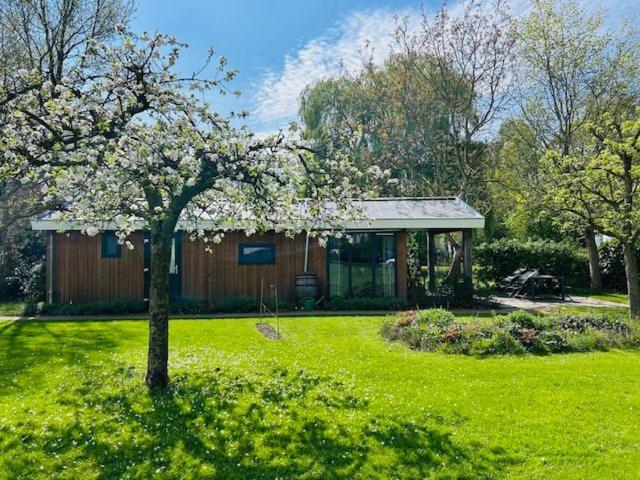 a small house in a yard with a tree at Tiny House 'Het Chalet' in Berlicum