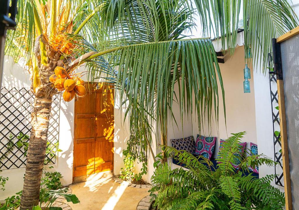 a palm tree in a courtyard with a house at Dhow House - Rooftop Lounge with Sunrise Views in Bagamoyo