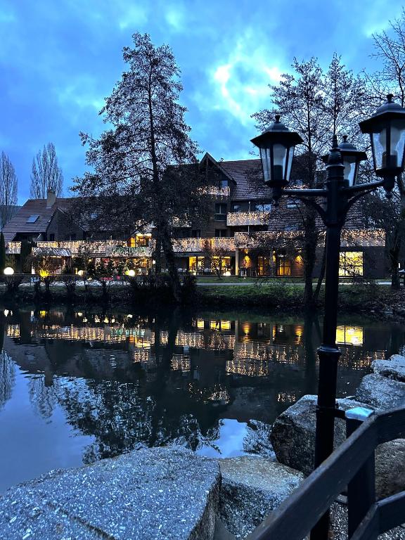 Hotel Du Lac – photo 11