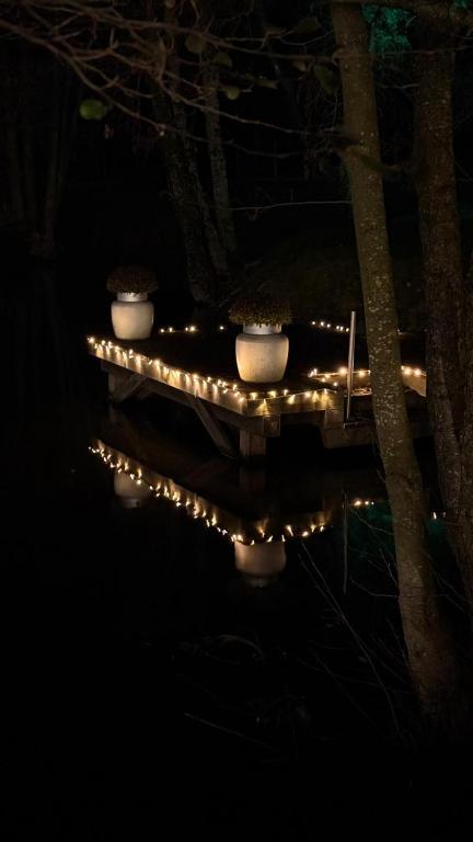 Hôtel Les Rives – photo 16