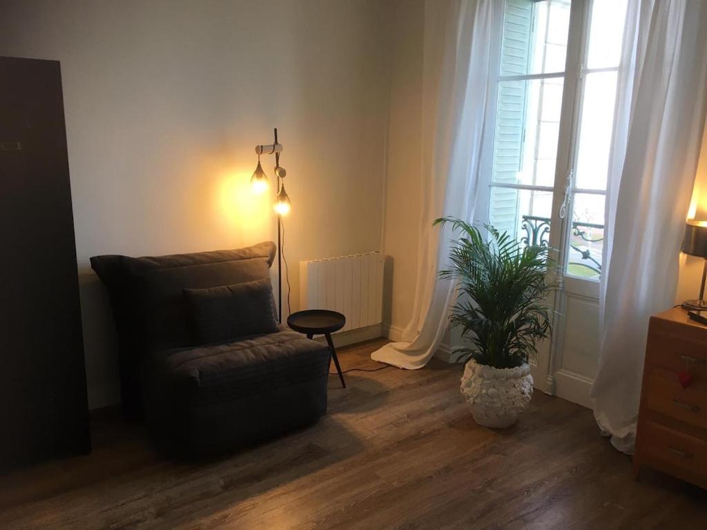 a living room with a chair and a plant at Le Beaupré face au lac Leman in Évian-les-Bains