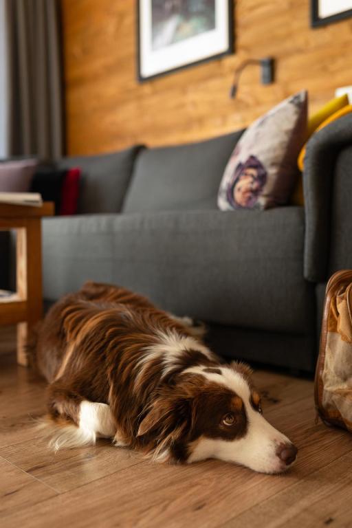 APARTAMENTY U HARREGO BOUTIQUE SPA masaże, sauna, tężnia solankowa , balkon , taras , klimatyzacja , parking - 19