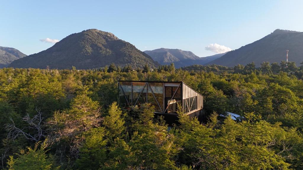 a tree house in the middle of a forest at AvA Refugios Malalcahuello in Malalcahuello