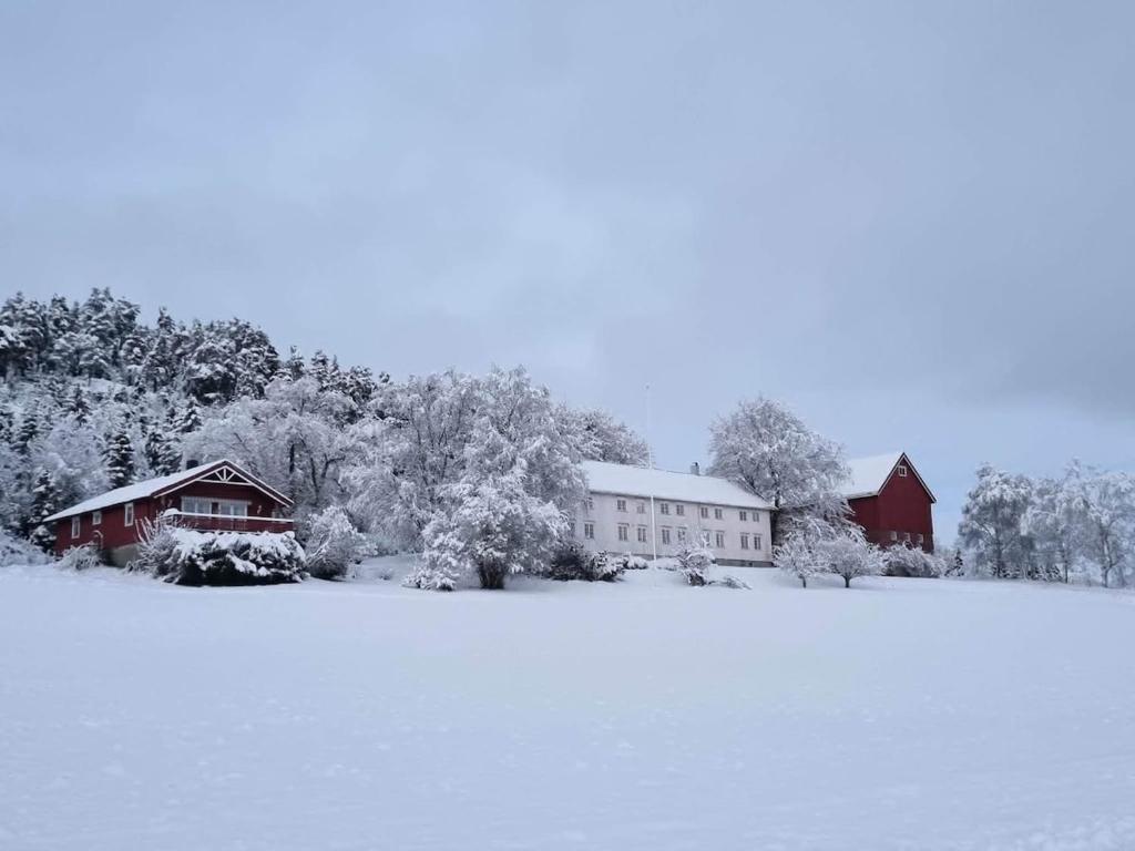 a house and a barn in the snow at Idyllic house on a farm in Steinkjer