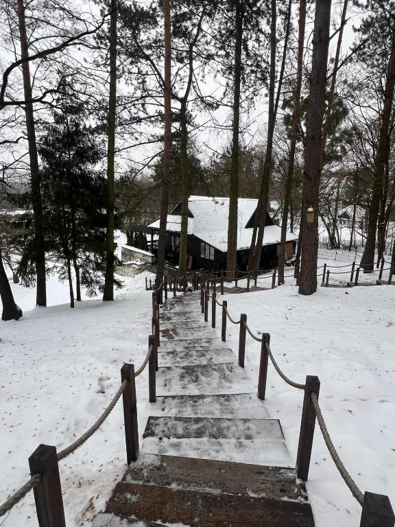 Na Skraju Lasu Domek na Drzewie & Glamping - 1