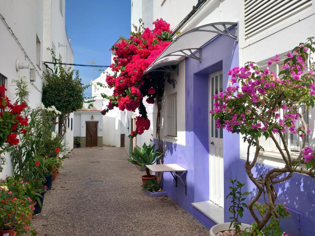 a street in positano with flowers on the walls at CORAZÓN DE CONIL in Conil de la Frontera