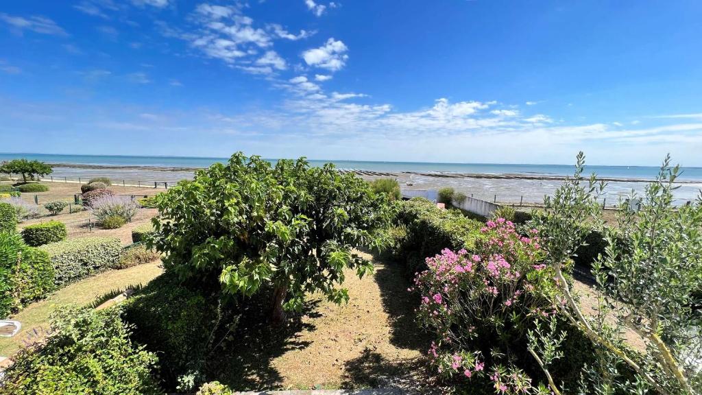 een tuin met struiken en bloemen en de oceaan bij Charmante villa face à la mer ! in La Flotte
