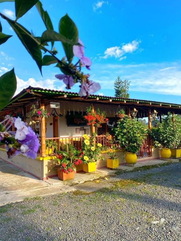 a building with potted plants in front of it at FINCA HOTEL DON JULIO in Santa Rosa de Cabal