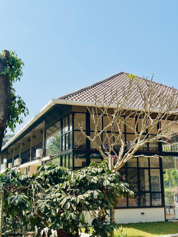 a building with a tree in front of it at Coorg Homes in Madikeri