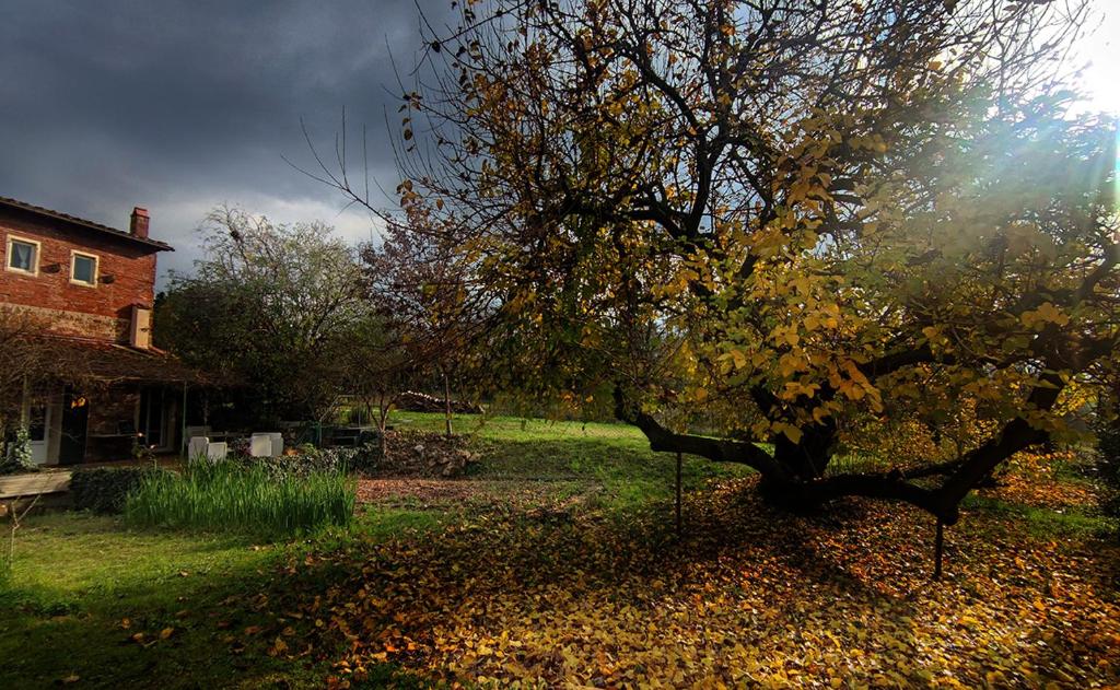 Il Monasteraccio - 13