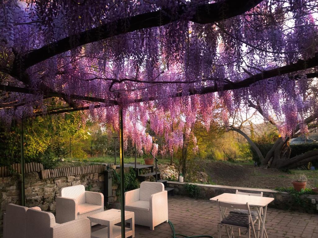 Il Monasteraccio - 14