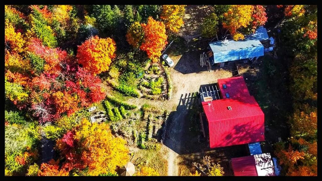 an aerial view of a red house in a forest at gite comme un accord in Saint Mathieu Du Parc