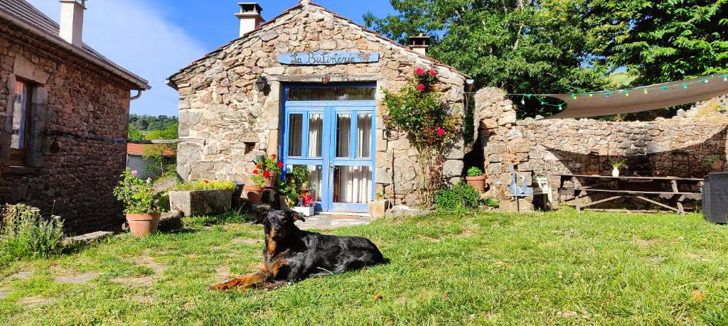 a dog sitting in the grass in front of a small building at La Butinerie in Prévenchères