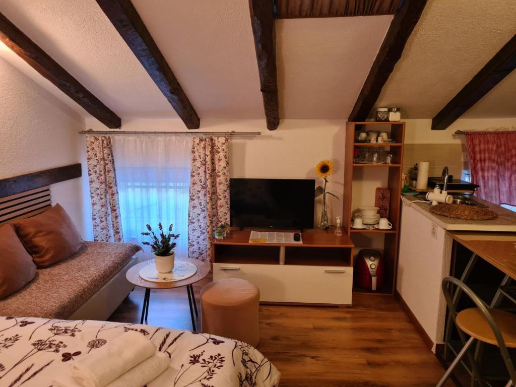 a bedroom with a bed and a desk with a television at Apartmani Viola in Momjan